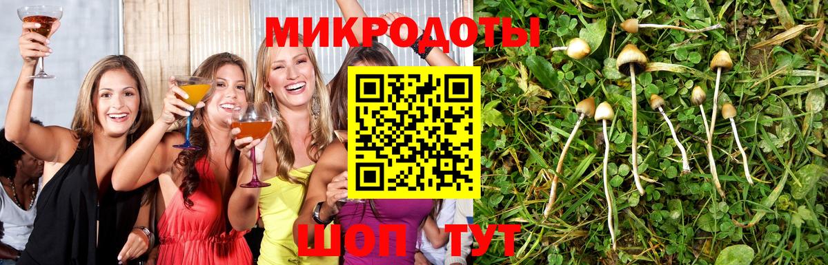 Галлюциногенные грибы Magic Shrooms Михайловка