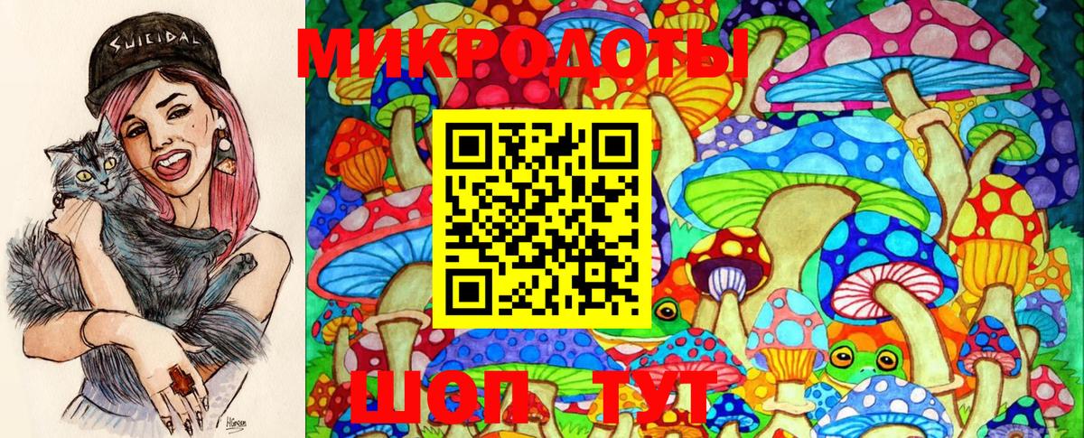 продажа наркотиков  Вход с VPN  Псилоцибиновые грибы GOLDEN TEACHER  Михайловка  Галлюциногенные грибы MAGIC MUSHROOMS 
